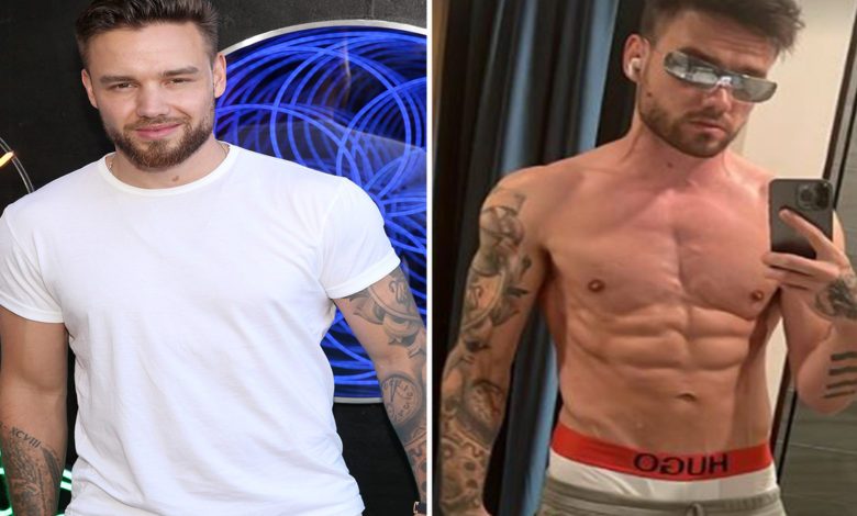 Liam Payne Body