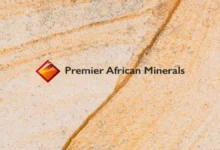 Premier African Minerals Share Price
