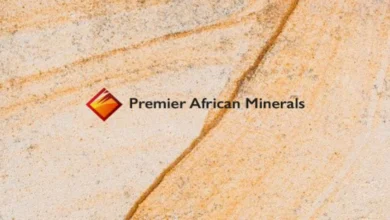 Premier African Minerals Share Price