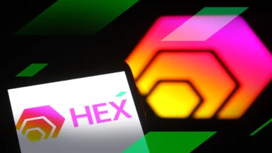 HEX Share Price