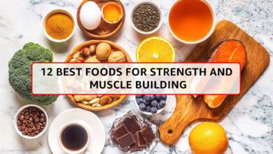 Muscle Food