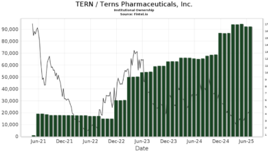 Tern Share Price