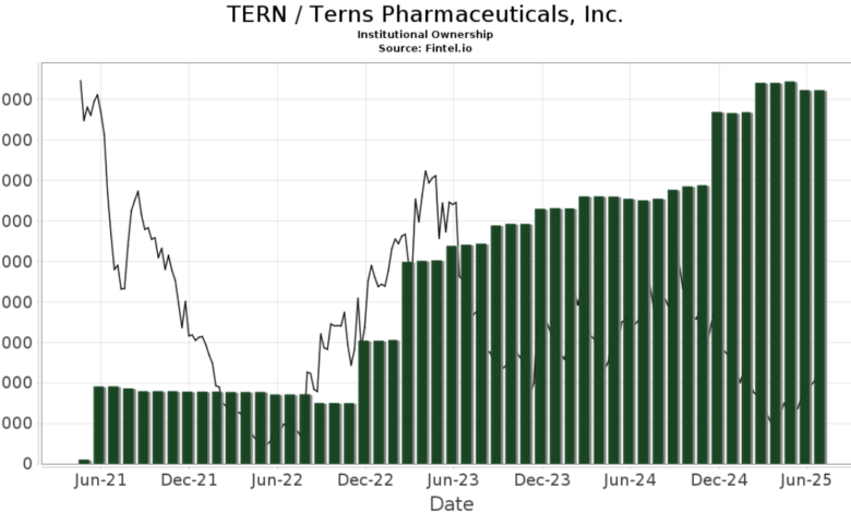 Tern Share Price