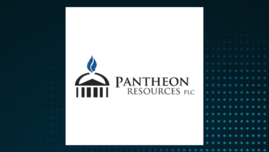 PANR Share Price