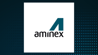 Aminex Share Price