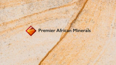 Premier African Minerals Share Price