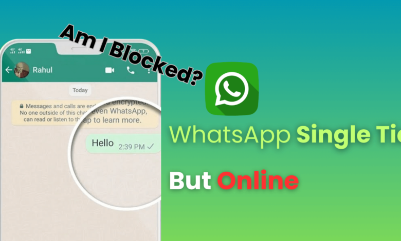 One Tick on WhatsApp