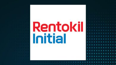Rentokil Share Price