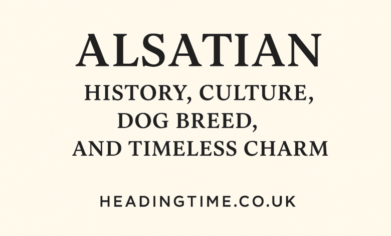 Alsatian