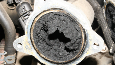 EGR Valve