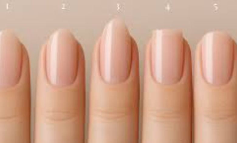 Nail Shapes