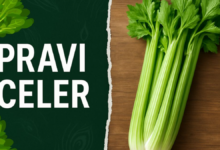 Pravi Celer