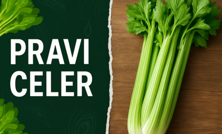 Pravi Celer