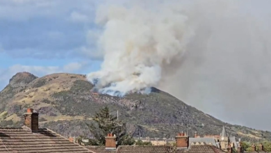 Arthurs Seat Fire
