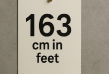 163 cm in feet