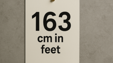 163 cm in feet