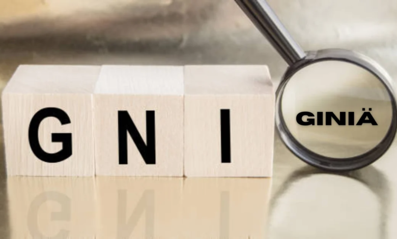 giniä